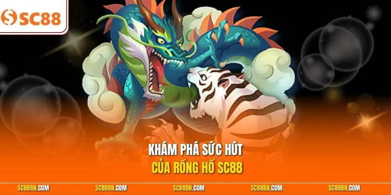 Khám phá sức hút của Rồng Hổ SC88